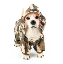 Load image into Gallery viewer, Pet Fashion Rain Coat
